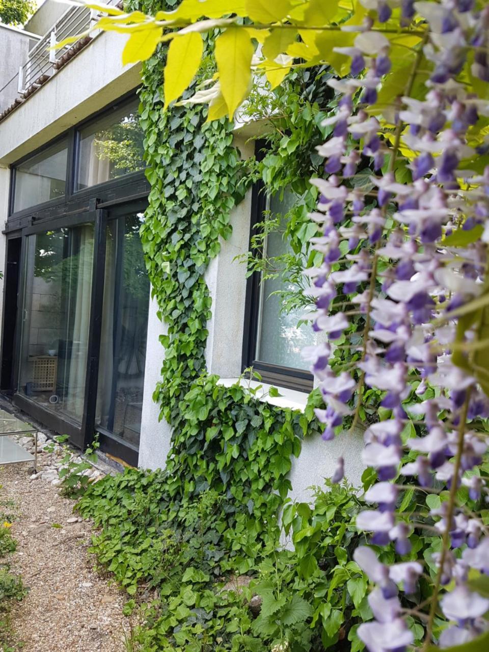 Apartment Breeze Bratislava Bagian luar foto